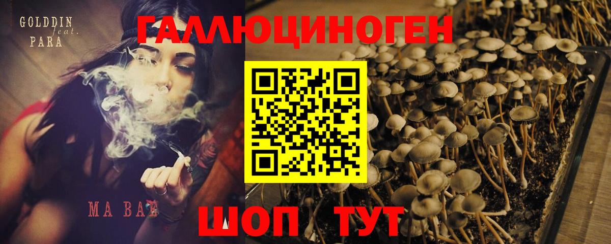 Галлюциногенные грибы MAGIC MUSHROOMS Минеральные Воды