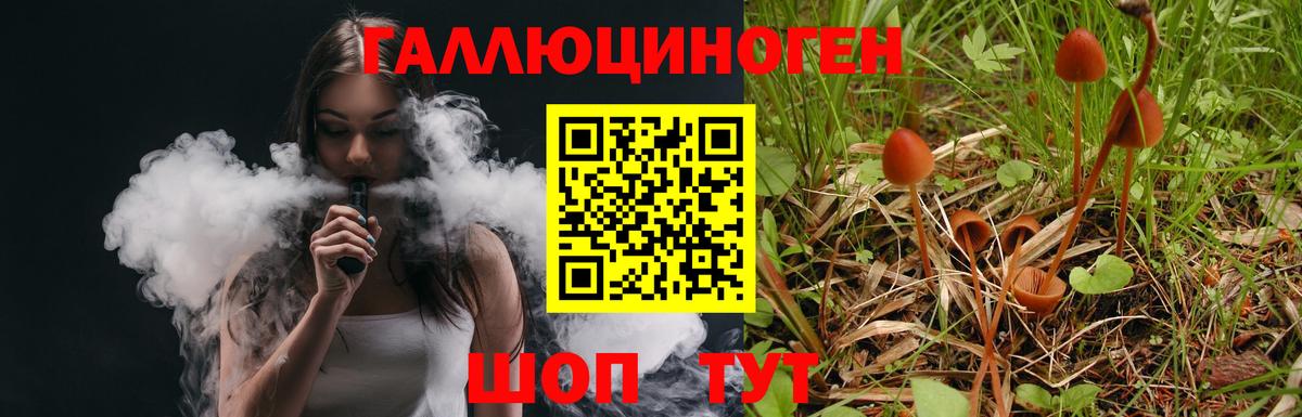 Псилоцибиновые грибы Magic Shrooms  Вход с VPN  купить  цена  Минеральные Воды 